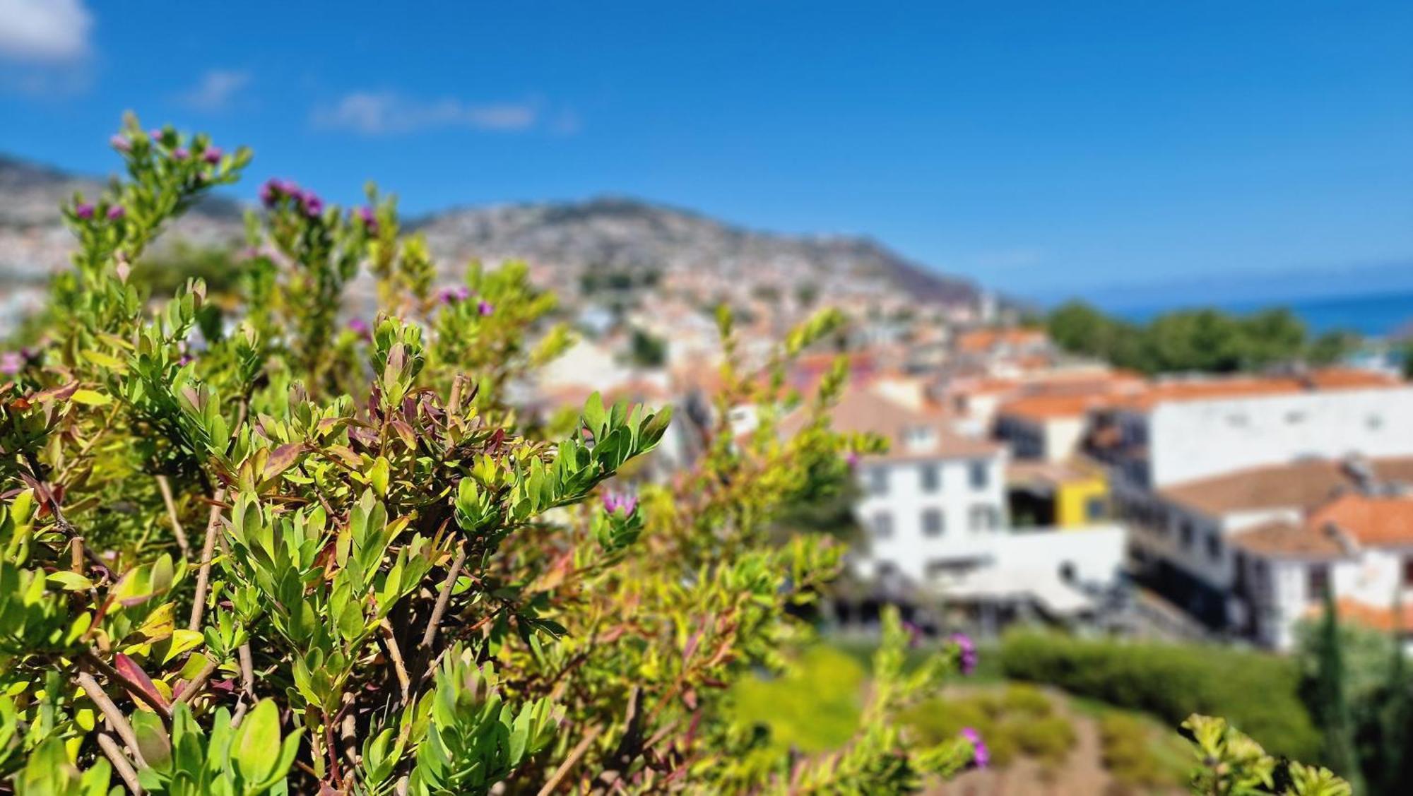 Apartamento Daysy Loft By Lovelystay Funchal (Madeira)
